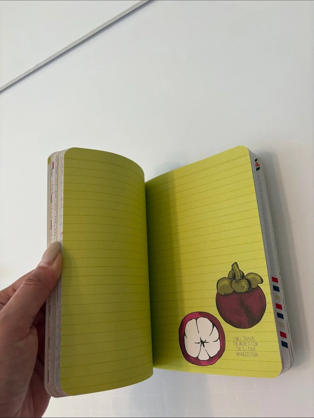 BNWT Anthropologie Stamp Collage Travel Journal